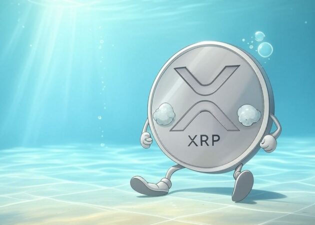Xrp Price Take a Plunge