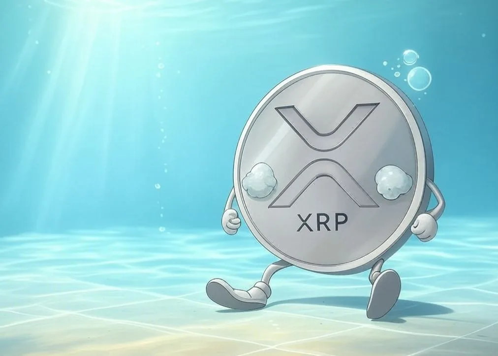 Xrp Price Take a Plunge