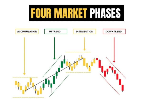 Marketcyclesphases | Bitcoin Dictionary Each Crypto Market Cycle Phase Reflects Investor Sentiment and Real world Market Activity